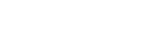 BRIDESBOX｛ブライズボックス｝オフィシャルロゴ